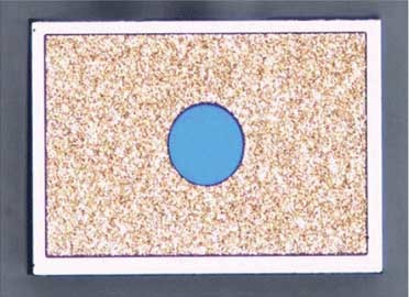 2.5 Gbps InGaAs アバランシェ・フォトダイオードの表面の写真