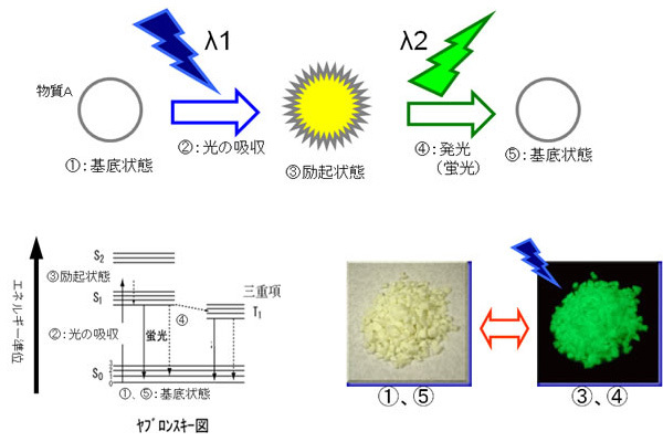 ◆原理(イメージ図) 蛍光の原理をイメージ化した図