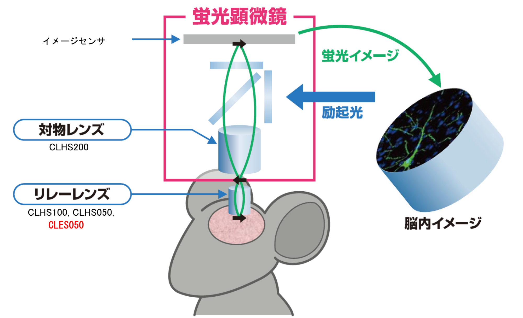 蛍光イメージングレンズの図